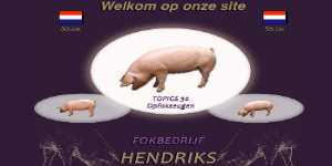 Fokbedrijf Hendriks